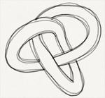 CHAINING/sketchy_torus_knot